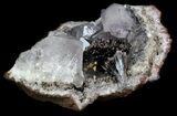 Pyrolusite Spray In Quartz Geode - Exceptional Specimen #34894-4
